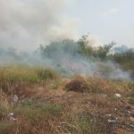 Kebakaran dikebun ilalang Yang Banyak Sampahnya