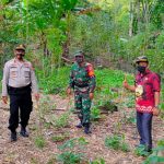 Kapolsek Tompobulu Bersama Danramil  Patroli Ke Kawasan Hutan Lindung