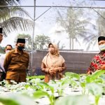 Ekonomi Sulit, LKS/LKSA Berikan Bimbingan Kelompok Usahan