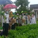 Peresmian Lahan Ketahanan Pangan dan Panen Raya di Kampung Tobat
