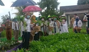 Peresmian Lahan Ketahanan Pangan dan Panen Raya di Kampung Tobat