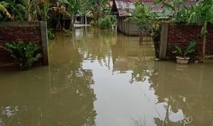 Dua Kecamatan di Cilacap Terendam Banjir
