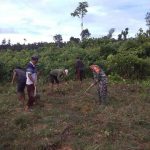 Babinsa Koramil 03/Teupah Selatan Gotong Royong Buat Lapangan Bola Volly
