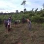 FB IMG 1606543127797