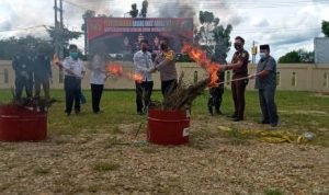 Kapolres Muratara AKBP Eko Sumaryanto Musnahkan Barang Bukti Ganja dengan dibakar