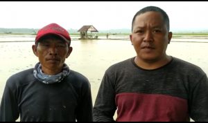 Petani Lebak Selatan Keluhkan Langkanya Pupuk Subsidi