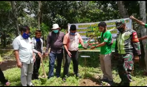 KPSDA Curug Cisarongge Peringati Hari Menanam Pohon Nasional