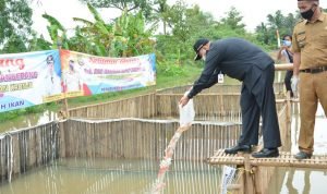 Bupati Tangerang Tebar 3 Ribu Benih Ikan Nila dan 1 Ton Benih Lele di Kronjo