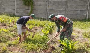 Dukung Ketahanan Pangan, Babinsa Desa Munjul Bersama Warga Manfaatkan Lahan Kosong