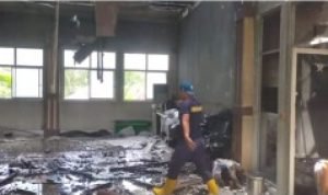 Apes, Sijago Merah Lahap Kantor Pajak