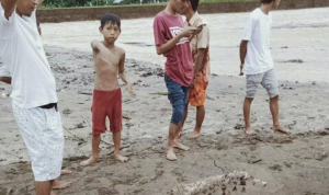 Potongan Tangan Manusia, Gegerkan Warga Bayah Timur