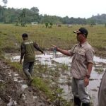 Dukung Program Pemerintah Humasa Sebbel, Camat Teluk Dalam Lakukan Pemeriksaan Pagar Petani