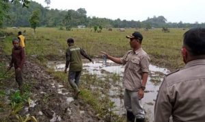 Dukung Program Pemerintah Humasa Sebbel, Camat Teluk Dalam Lakukan Pemeriksaan Pagar Petani