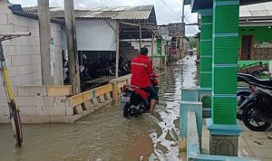 Ratusan Pemukiman Warga Kecamatan Muara Gembong di Terjang Air Rob