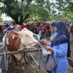 Dinnakikan Blora Optimalkan Pelayanan Kesehatan Ternak Masyarakat dan Pasar Hewan