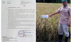 Camat Teluk Dalam Tegaskan Seluruh Kepala Desa Harus Turun Bersawah