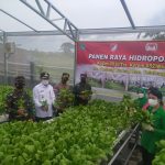 Ketahanan Pangan, Dandim 0510/Trs Bersama Danrem Panen Padi dan Holtikultura