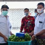 Industrialisasi Sektor Kelautan dan Perikanan NTB, Budidaya Lobster dan Rumput Laut Kian Menggeliat