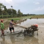 Bhabinkamtibmas Polsek Kunduran Nyemplung ke Sawah