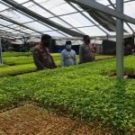 Wujudkan Ketahanan Pangan, Polsek Tunjungan Blora Jalin Kemitraan dengan Petani