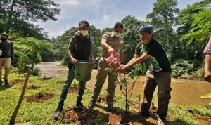 Gubernur DKI Tanam Pohon Loa di Bantaran Kali Ciliwung