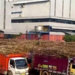 Guna Penuhi Kebutuhan Petani Tebu Jelang Lebaran, PT GMM Blora Percepat Giling