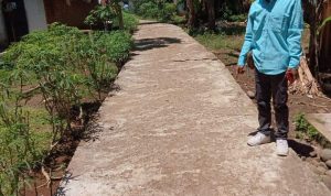 Diduga Pembangunan Jalan Setapak Desa Air Lesing Asal-asalan