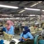 PT. Pancaprima Ekabrothers Diduga Kangkangi Permen Nomor 6 Tahun 2016 Tentang Ketenagakerjaan