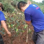 AMPHIBI Tanam 500 Pohon Mangrove di TPA Bantar Gebang