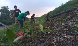 AMPHIBI Lakukan Penanaman Mangrove Lanjutkan Bersama Komunitas di TPA Bantargebang