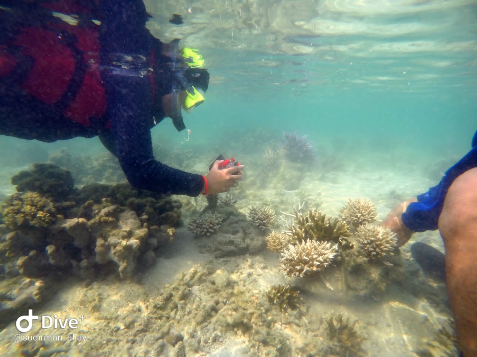 Kunjungan Silaturahmi Loka PSPL Serang ke Pulau Tunda 4 IMG 20210527 WA0128