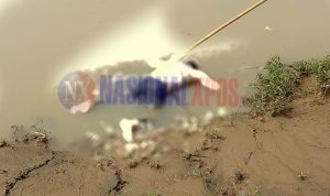 Warga Kedaung Barat Digegerkan Penemuan Mayat Laki laki di Sungai Cisadane