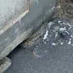 Kejahatan Lingkungan Industri PT. CBP, Pemerintah Diminta Segera Lakukan Tindakan