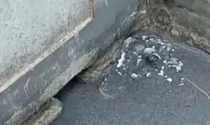 Kejahatan Lingkungan Industri PT. CBP, Pemerintah Diminta Segera Lakukan Tindakan