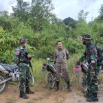 Patroli Gabungan di Perbatasan, Cara Ampuh Cegah Penyelundupan