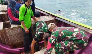 Satgas Pamtas Yonif Mekanis 643/Wns Budidaya Terumbu Karang Laut