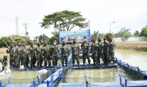 Program Ketahanan Pangan, Aspotmar Kasal Tebar Bibit Ikan di Kolam Pembudidayaan Ikan Air Tawar Lantamal I