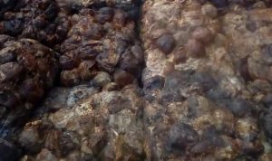 Getah Karet Mesuji Naik