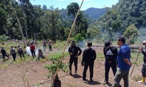 Bareskrim Polri Musnahkan 7 Haktare Ladang Ganja di Aceh 