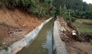 Rehab Irigasi Cilaki Disambut Antusias Masyarakat