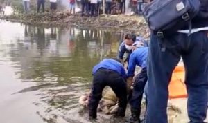 Mayat Perempuan Tanpa Identitas Ditemukan di Situ Cipondoh