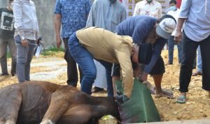 Polres Baubau Sebar 500 Paket Daging Qurban