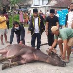 Ormas Aliansi Banten Bersatu (ALIBABA) Berkurban, Distribusikan ke Warga yang Membutuhkan