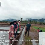 Kepala Desa Kuala Baru Meninjau Lahan Petani yang Sedang Diolah Oleh Warganya
