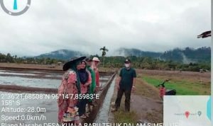 Kepala Desa Kuala Baru Meninjau Lahan Petani yang Sedang Diolah Oleh Warganya