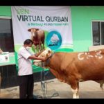 Desa Mekarmukti Bersama PT. SEIN Berkurban Sapi Seberat 400Kg dan Bagikan 10.000 Masker