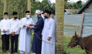 Kompak, Bupati dan Wabup Konut Serahkan Bantuan Sapi Kurban ke Masjid