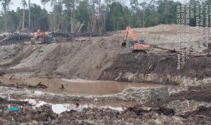 Polres Kapuas Tidak Becus Tangani Penambang Emas Ilegal di Desa Beringin Jaya