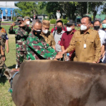 Peringati Idul Adha Wawali Richard Sualang Serahkan Bantuan 42 Ekor Sapi Kepada PHBI
