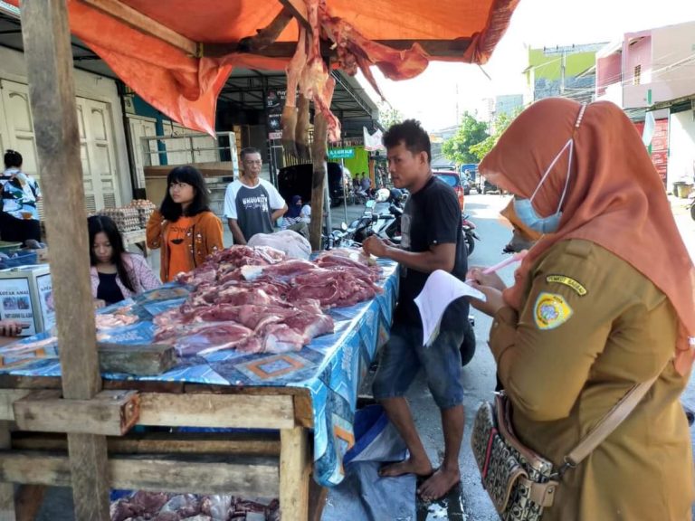 Hewan Qurban di Baubau Aman Dari Penyakit